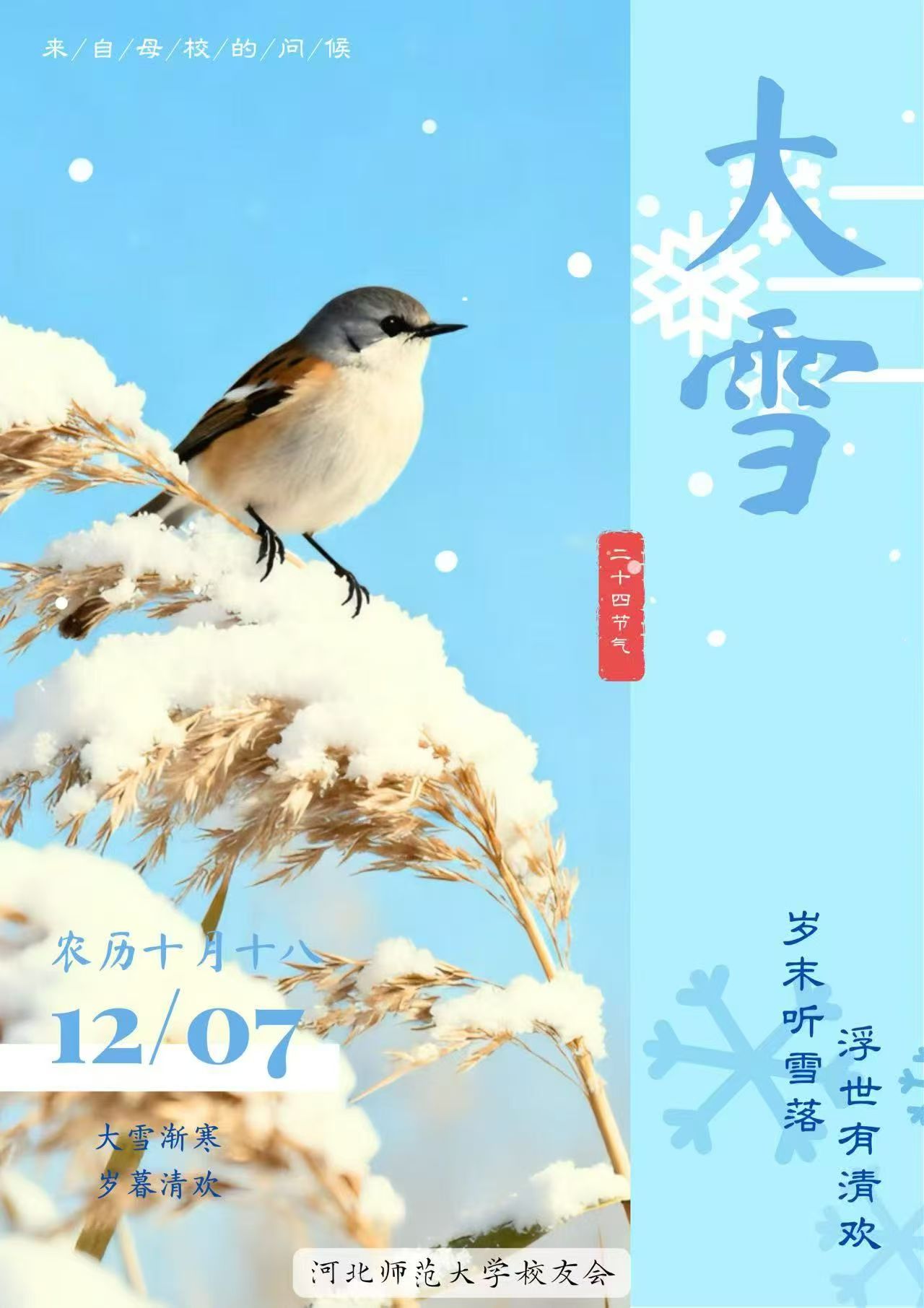 35体育直播